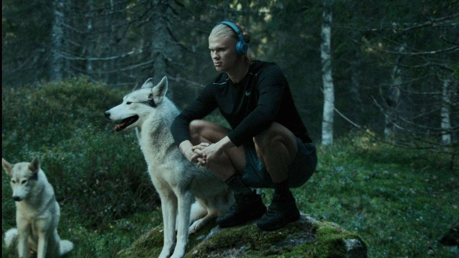 瓦拉内的回 瓦拉内的回